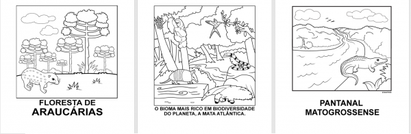 Atividade Biomas Do Brasil Qr Code Geografia Nerdprofessor Images And