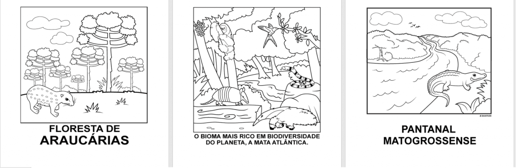 Imagens Colorir Biomas do Brasil – Nerdprofessor