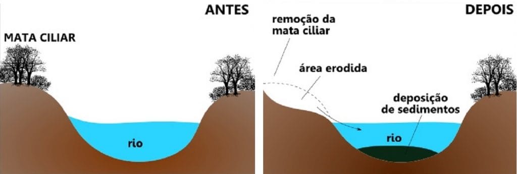 Assoreamento – Nerdprofessor