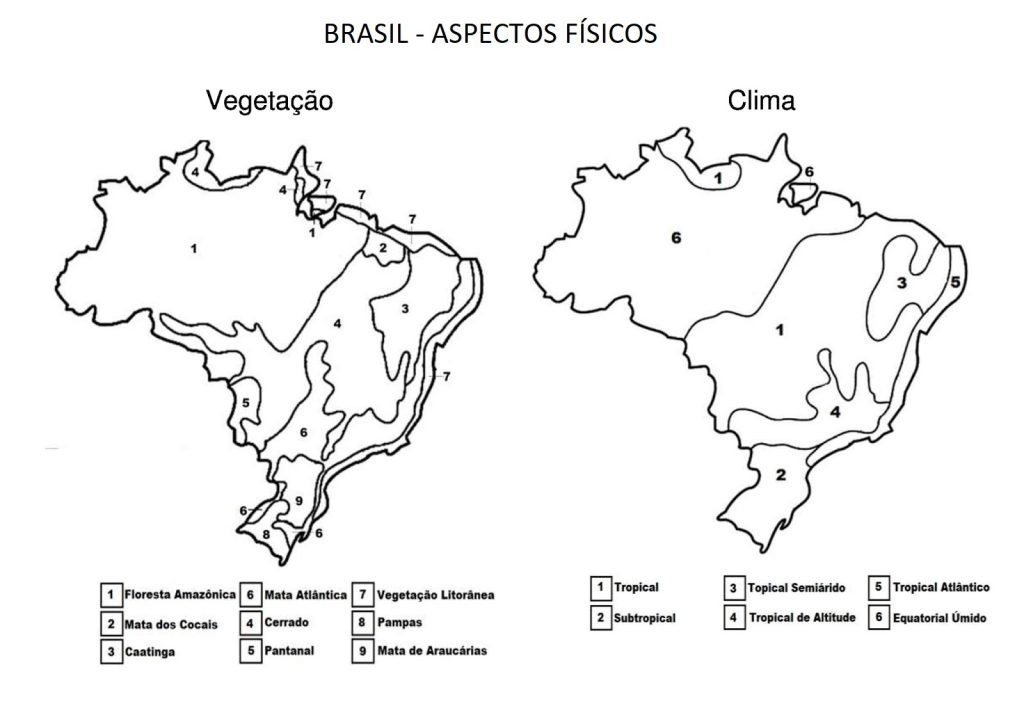 Vegetação e Clima do Brasil para colorir - NerdProfessor