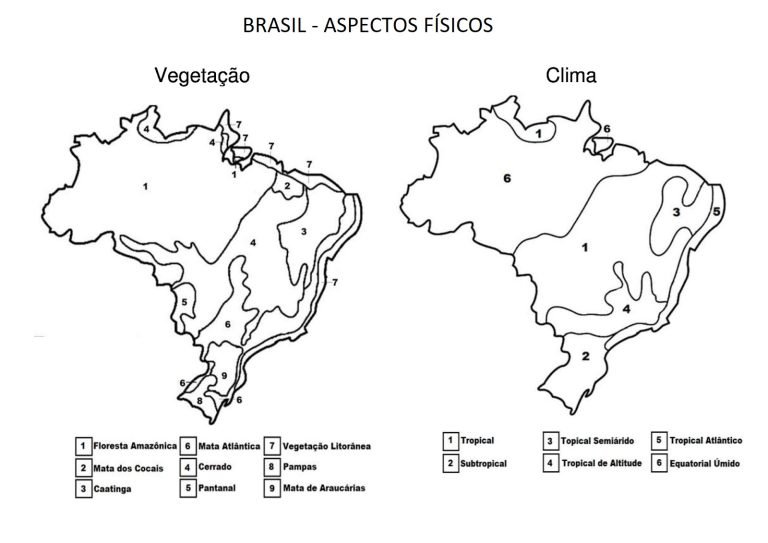 Vegetação E Clima Do Brasil Para Colorir Nerdprofessor 7771